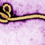 140730092338-eitm-gupta-ebola-symptoms-origins-00011224-story-top